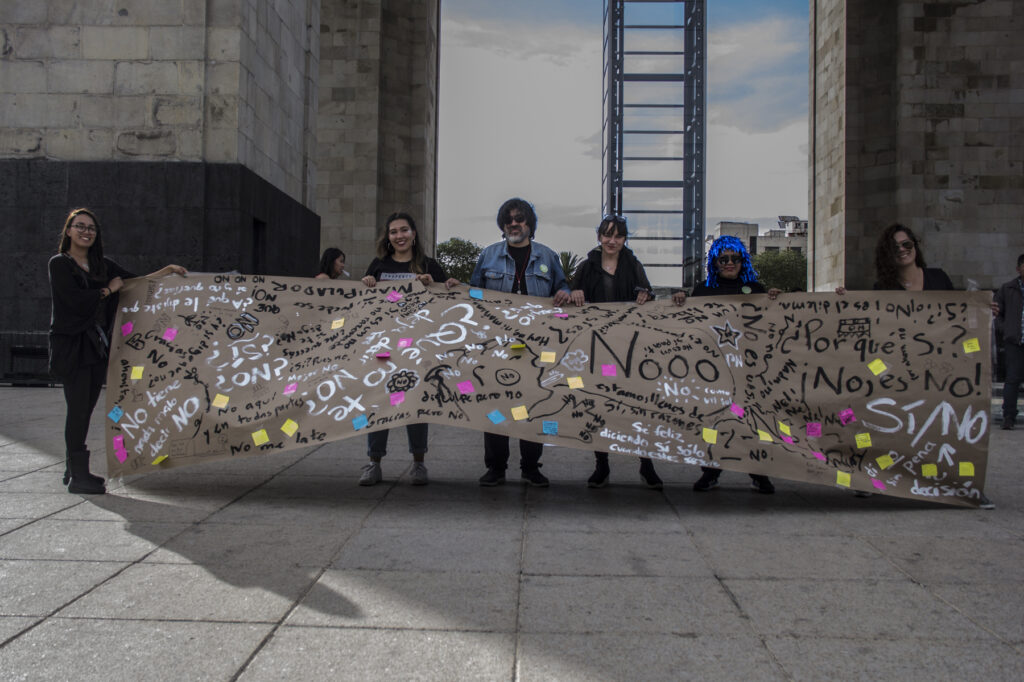 QUE NO Joana Brabo Chopo Mex 14