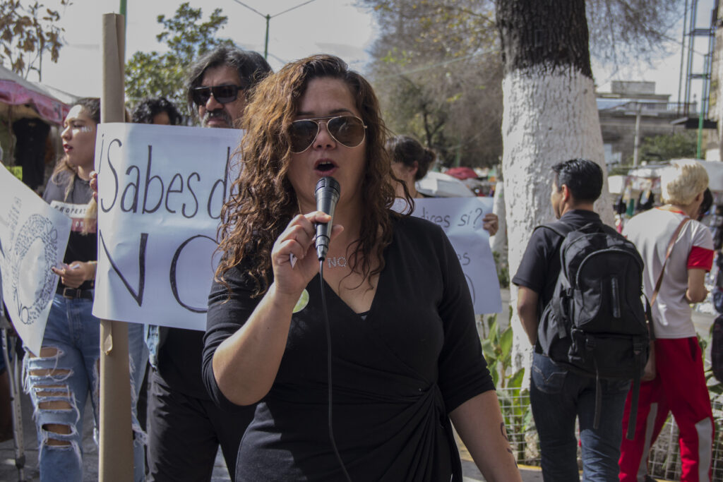 QUE NO Joana Brabo Chopo Mex 15